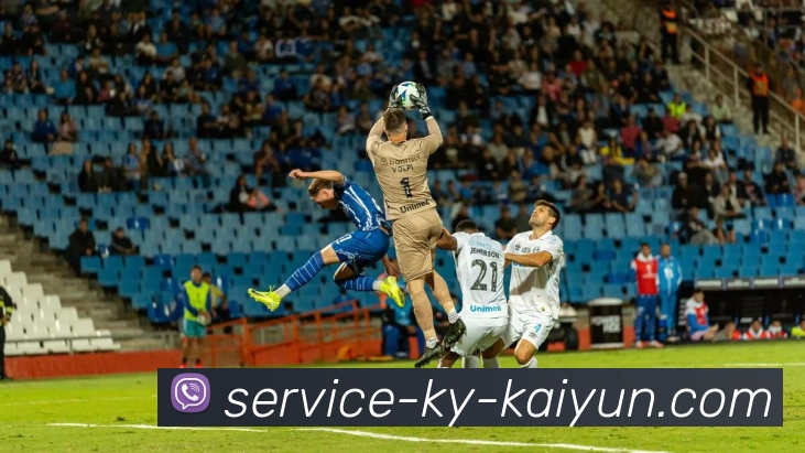 开云app平台生态图